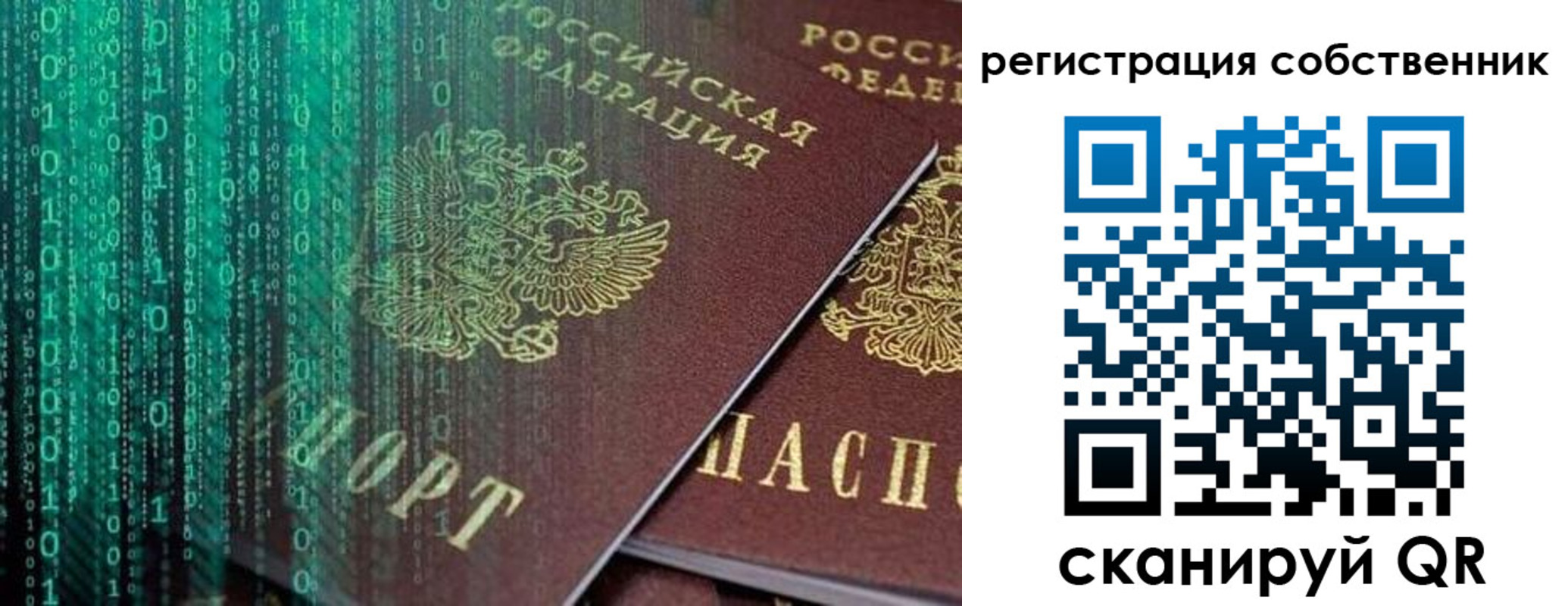 прописка поиск в Яровом